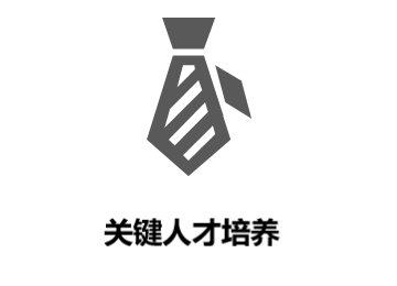 关键人才培养